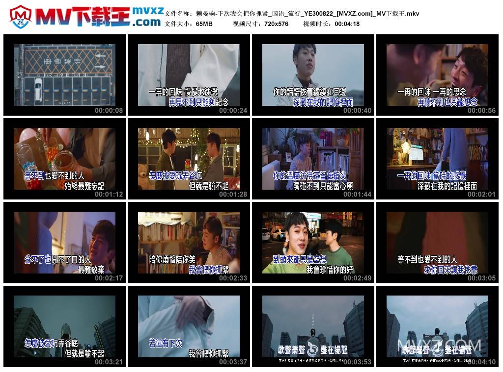 赖晏驹-下次我会把你抓紧_国语_流行_YE300822